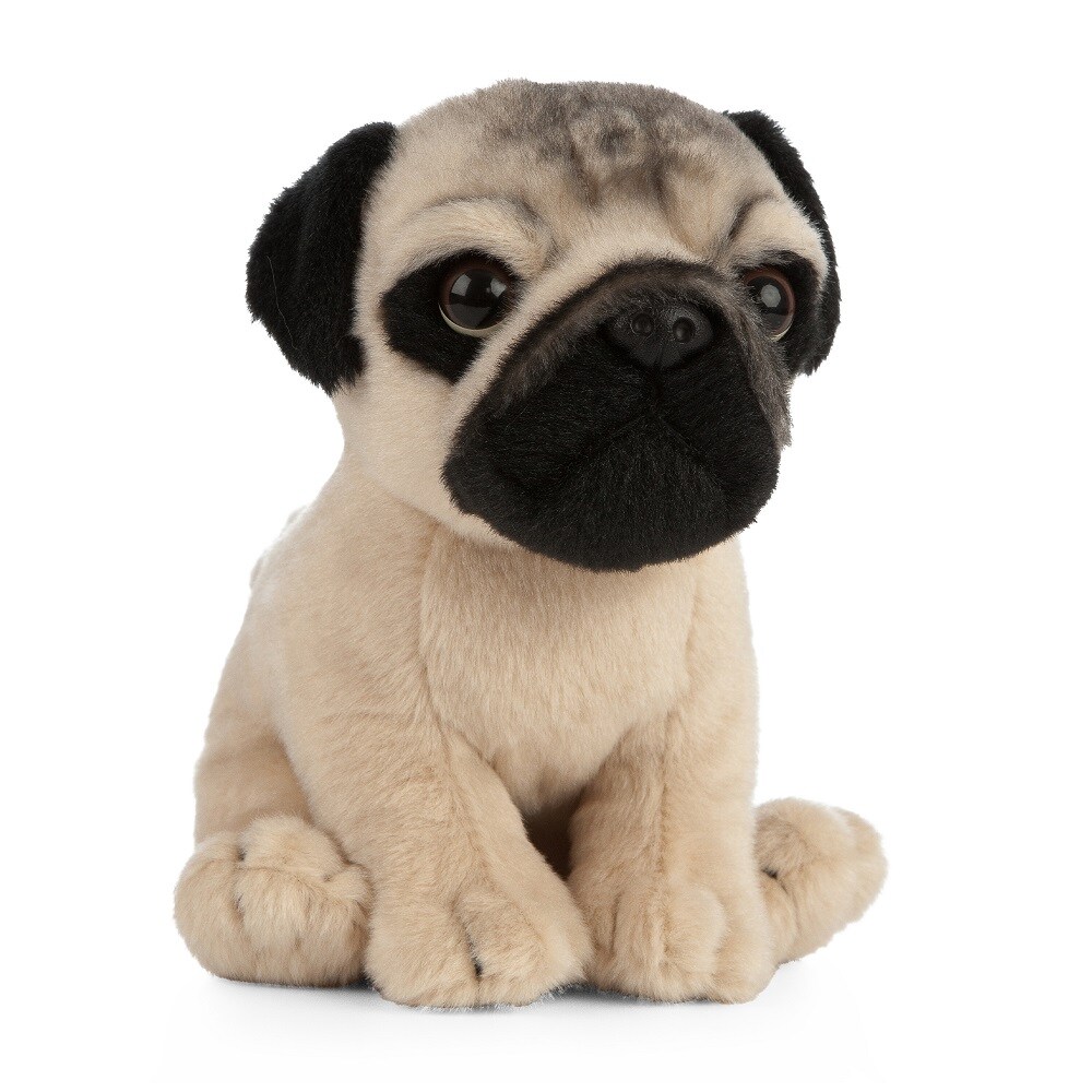 Pug Puppy by LIVING NATURE - 6.25&#x22;