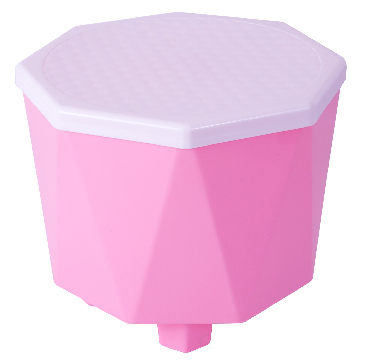 Plastic 2 in 1 Storage Step Stool