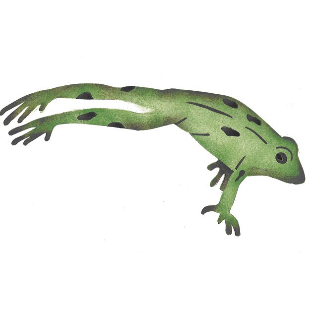 Leaping Frog Wall Stencil | 2630 by Designer Stencils | Animal & Nature Stencils | Reusable Art Craft Stencils for Painting on Walls, Canvas, Wood | Reusable Plastic Paint Stencil for Home Makeover | Easy to Use & Clean Art Stencil