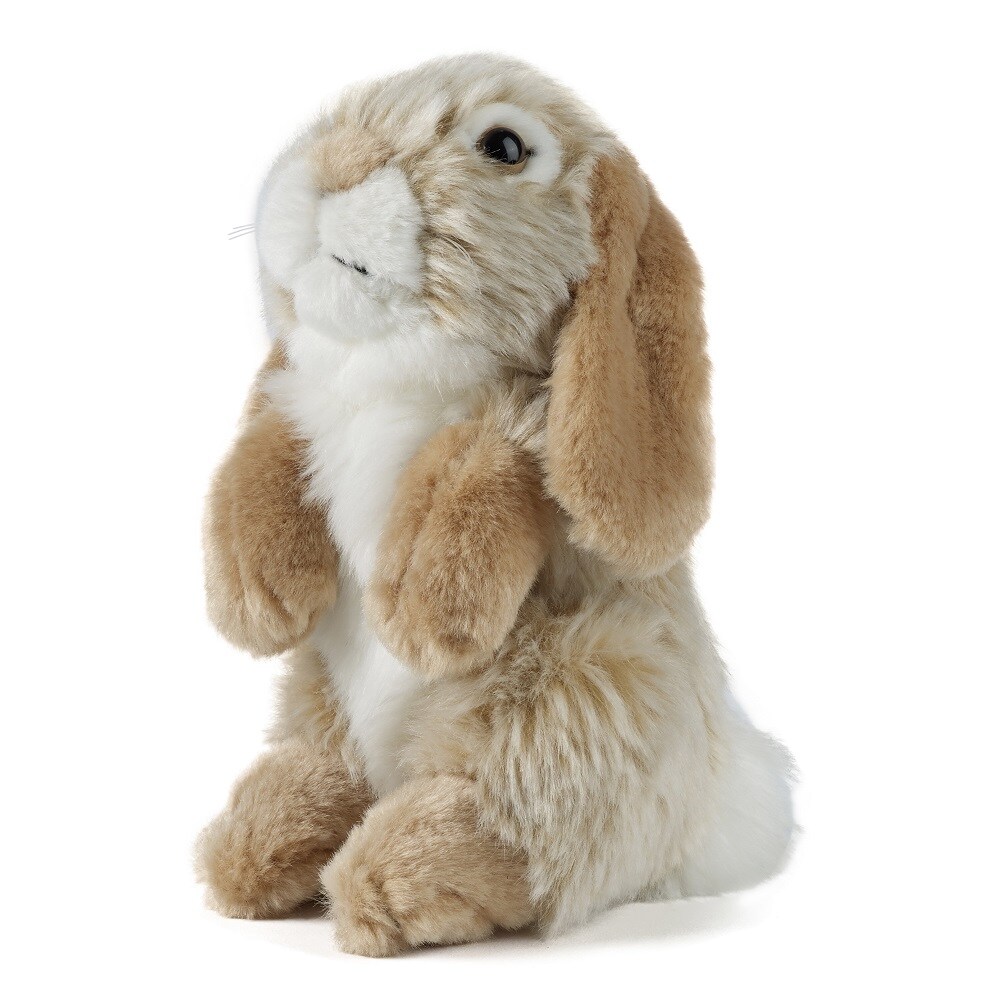 Sitting Brown Lop Eared Rabbit by LIVING NATURE - 7&#x22;