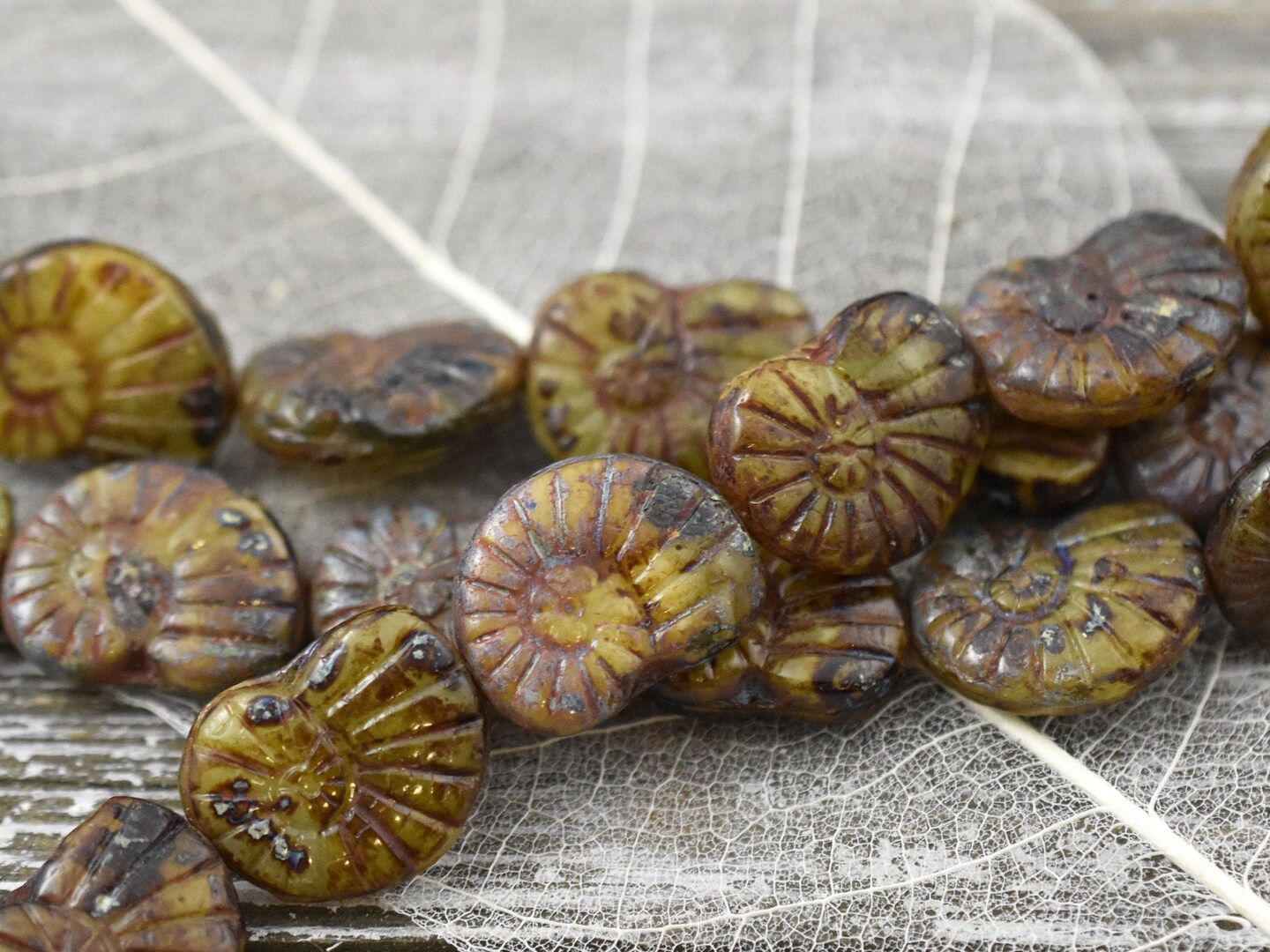 *6* 16x13mm Mottled Earth Ammonite Fossil Snail Shell Beads