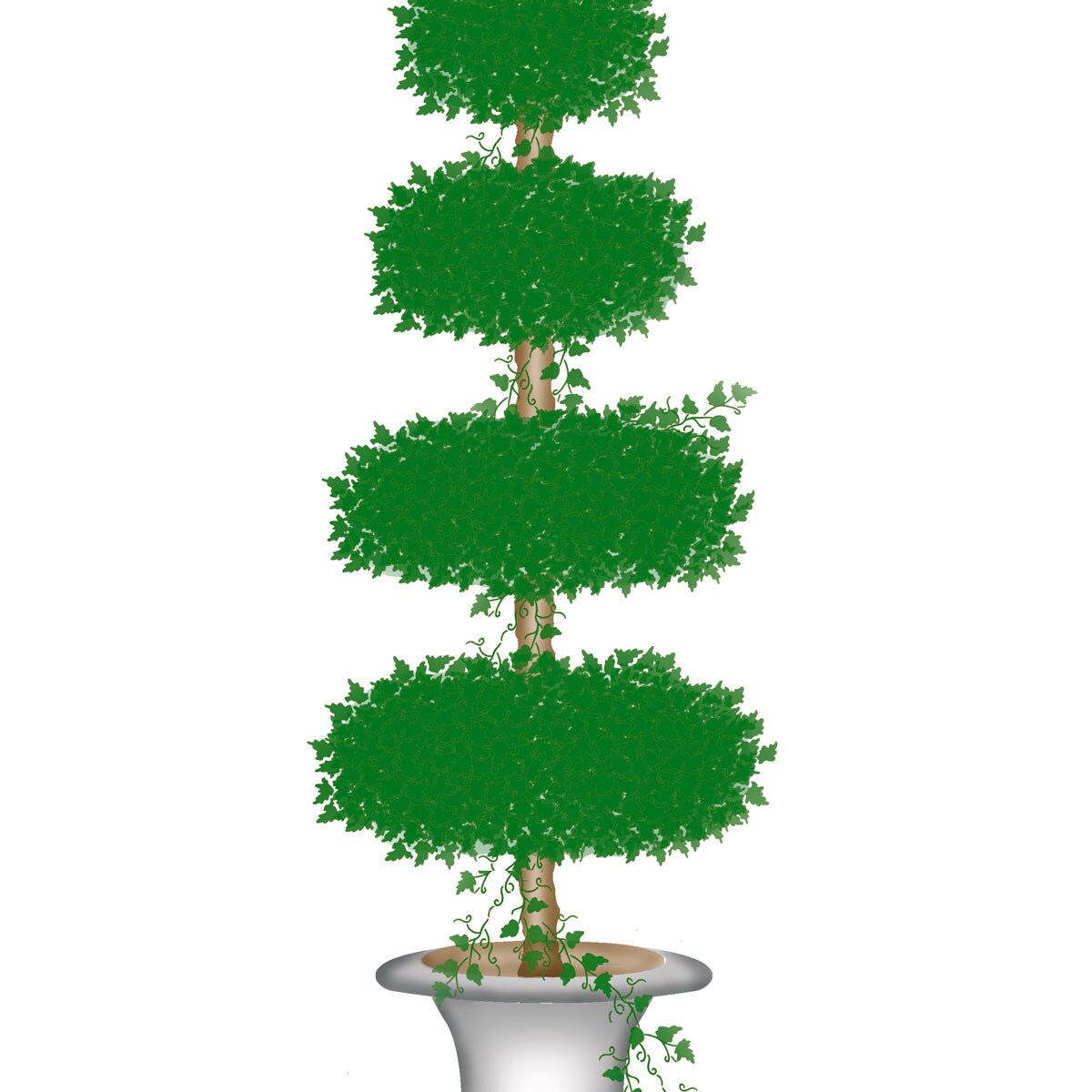 Tall Topiary with Four Oval Shapes Wall Stencil | 2586 by Designer Stencils | Floral Stencils | Reusable Art Craft Stencils for Painting on Walls, Canvas, Wood | Reusable Plastic Paint Stencil for Home Makeover | Easy to Use &#x26; Clean Art Stencil