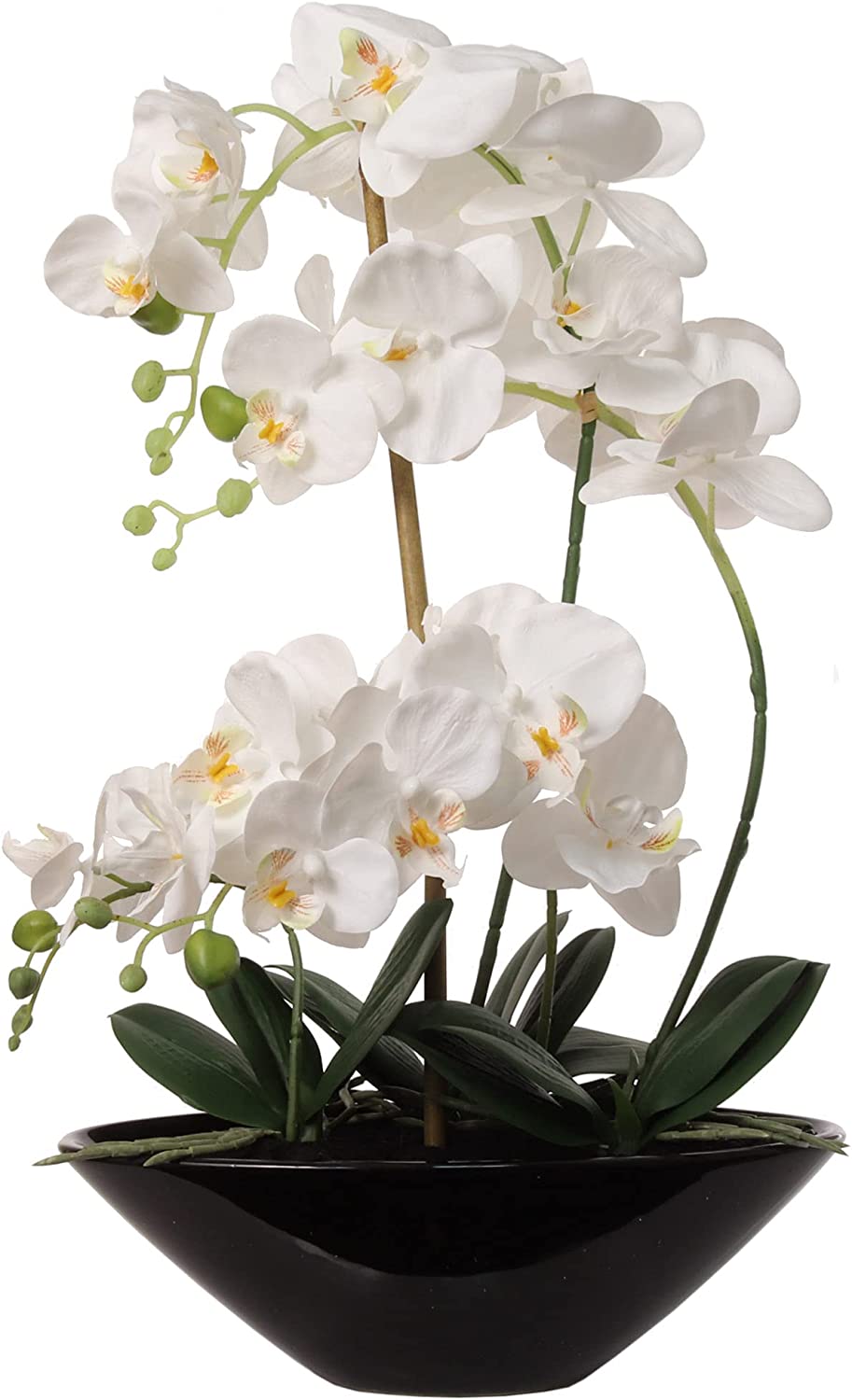 Stylish 21" Artificial Phalaenopsis Orchid in Black Vase Lifelike