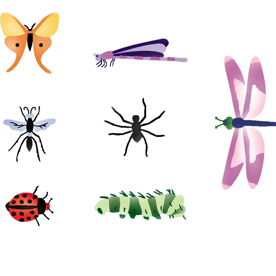 New Bugs Wall Stencil | 2575 by Designer Stencils | Animal &#x26; Nature Stencils | Reusable Art Craft Stencils for Painting on Walls, Canvas, Wood | Reusable Plastic Paint Stencil for Home Makeover | Easy to Use &#x26; Clean Art Stencil