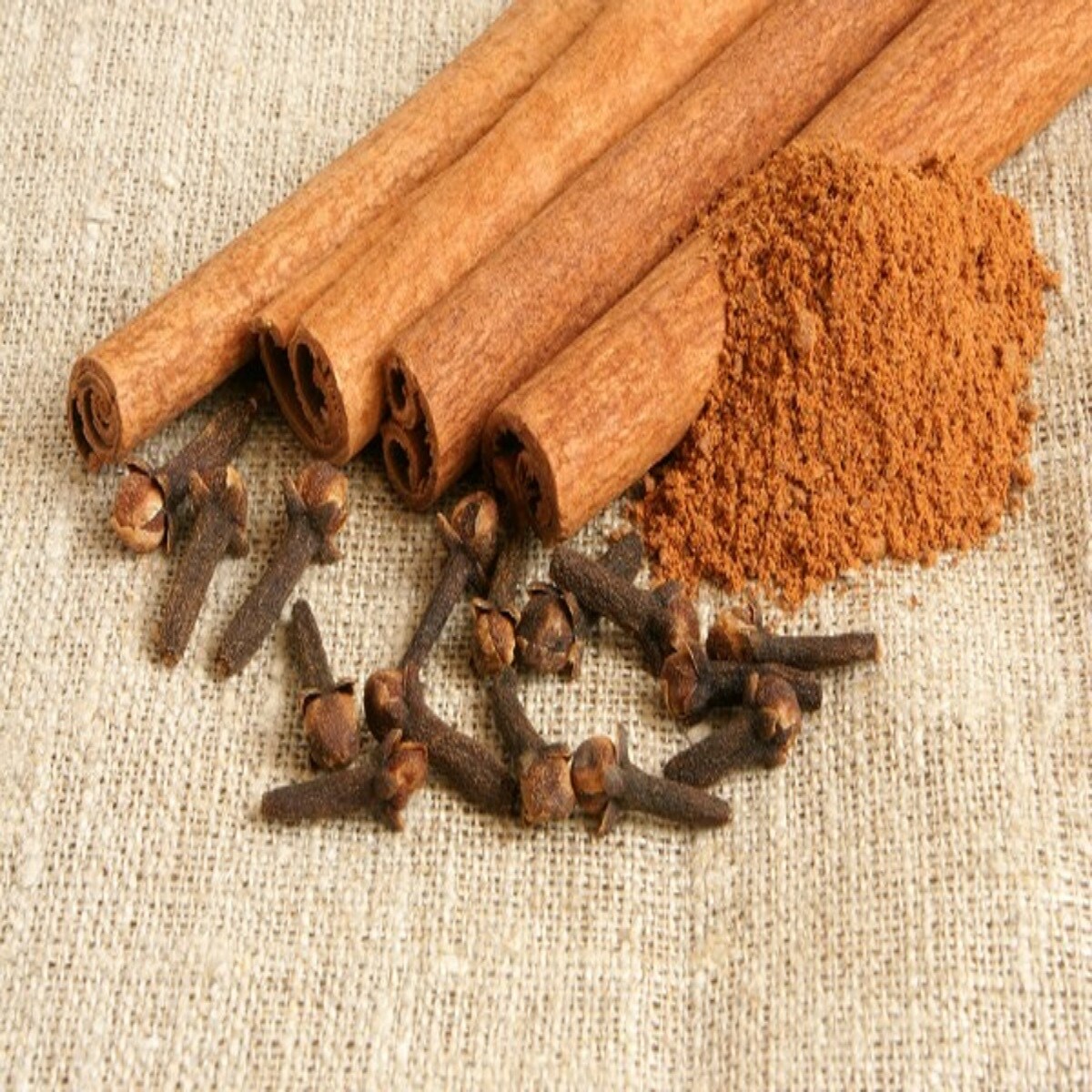 Cinnamon Clove Fragrance Oil (16 oz Bottle) for Candle Making, Soap Making, Tart Making, Room Sprays, Lotions, Car Fresheners, Slime, Bath Bombs, Warmers…
