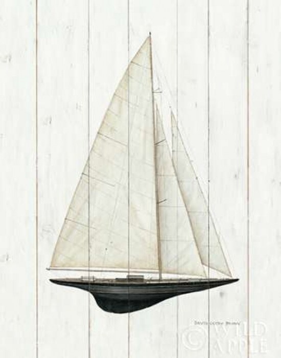 Sailboat II Poster Print by David Carter Brown - Item # VARPDX3269