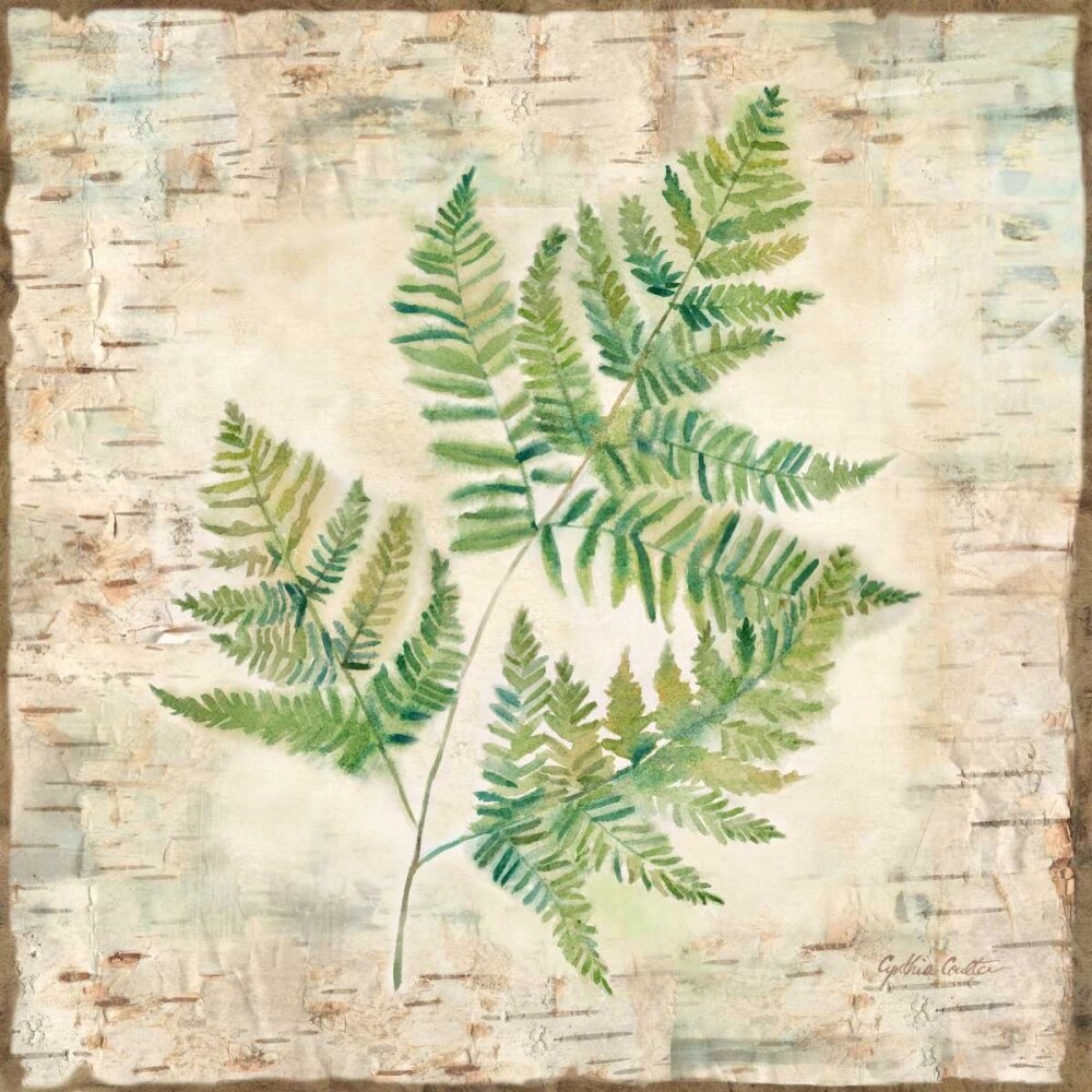 Birch Bark Ferns I Poster Print by Cynthia Coulter - Item # VARPDXRB12008CC