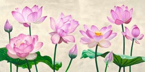 Lotus flowers Poster Print by Shin Mills - Item # VARPDX2MI2851