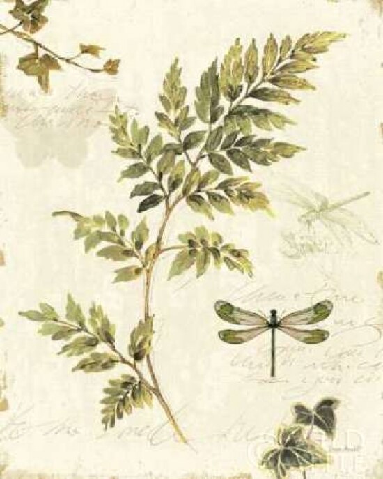 Ivies and Ferns III Poster Print by Lisa Audit - Item # VARPDX6596