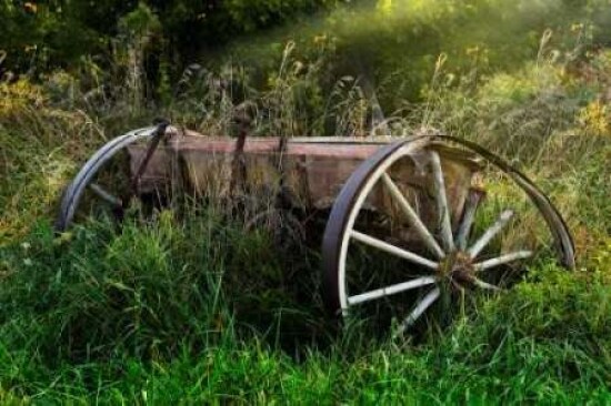 Abandoned Farm Equipment Poster Print by C. Thomas McNemar - Item # VARPDXPSMNR182