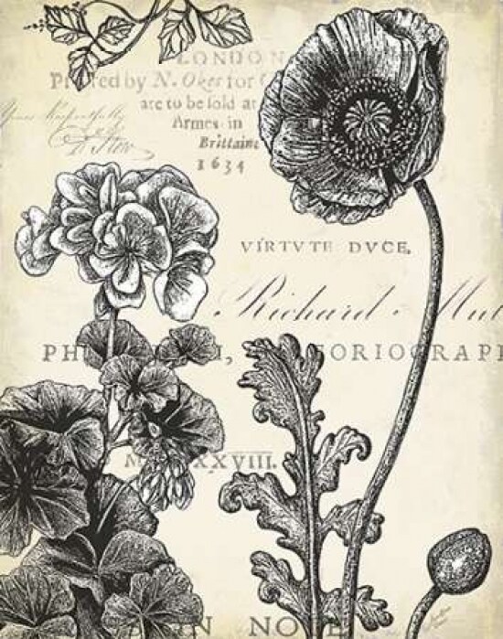 Pen and Ink Floral Study I Poster Print by Marie Elaine Cusson - Item # VARPDXRB10885MC