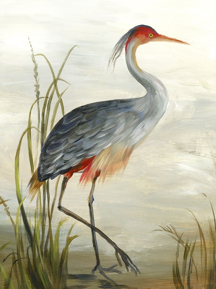 Grey Heron Poster Print by Aimee Wilson - Item # VARPDXWL202A