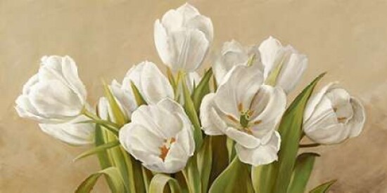 Tulipani bianchi Poster Print by Serena Biffi - Item # VARPDX2SE808