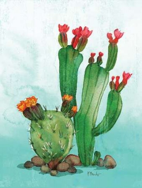 Cactus II Poster Print by Paul Brent - Item # VARPDXBNT1279