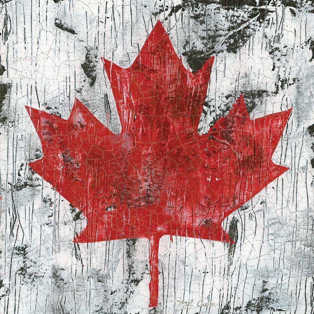 Canada Maple Leaf I Poster Print by Marie-Elaine Cusson - Item # VARPDXRB13032MC