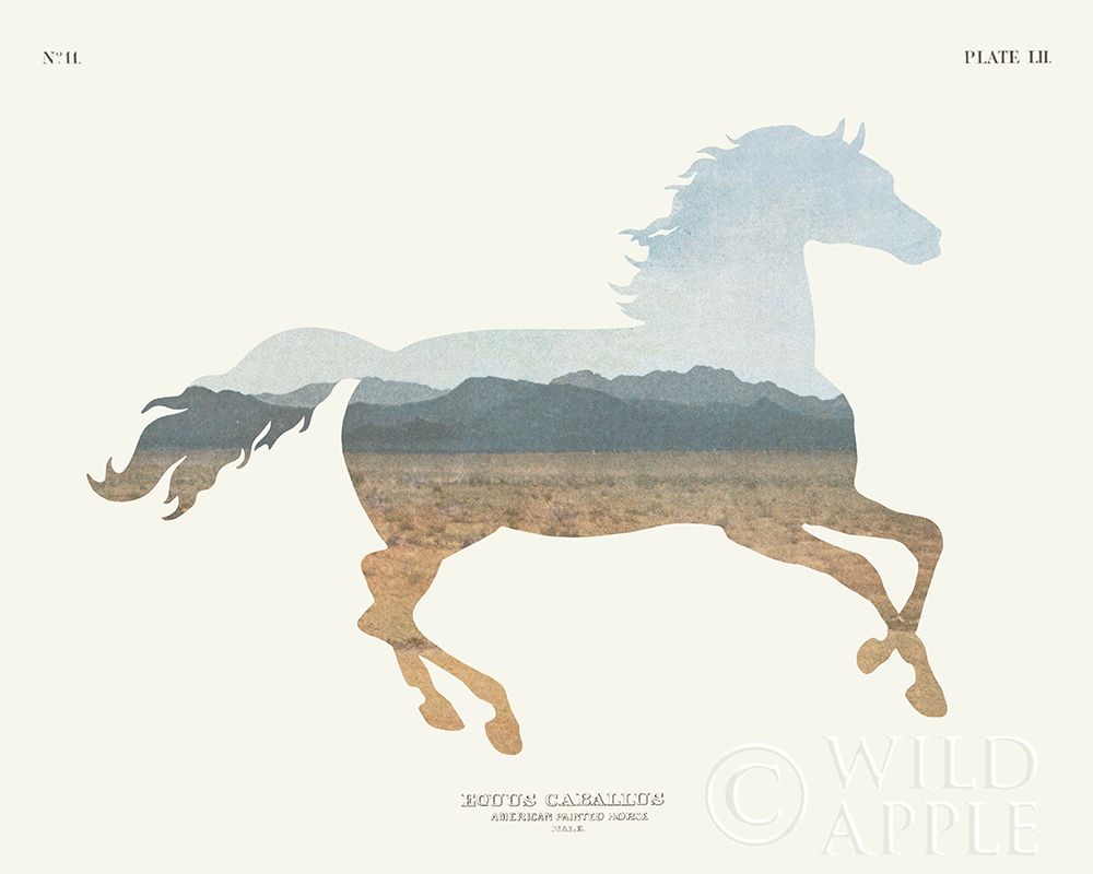 American Southwest Horse Poster Print by Wild Apple Portfolio - Item # VARPDX37387