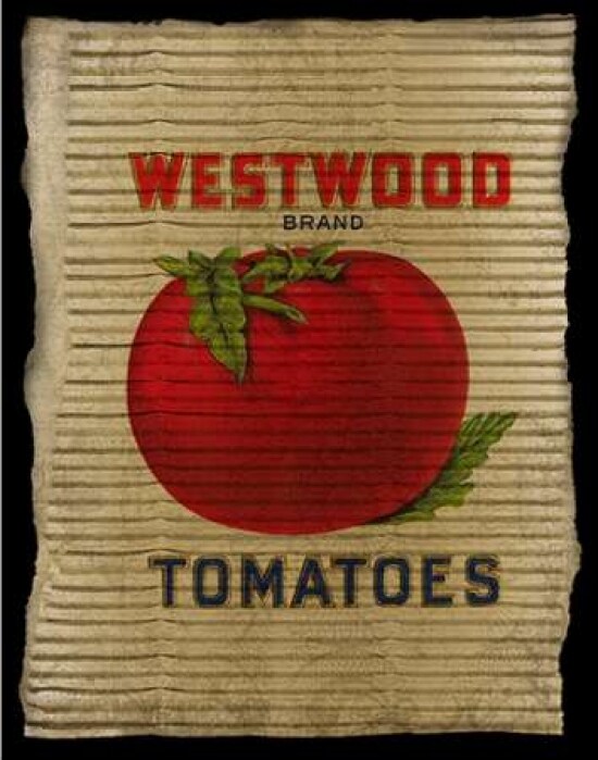 Vintage Tomatoes Poster Print by Beth Albert - Item # VARPDXBA1194