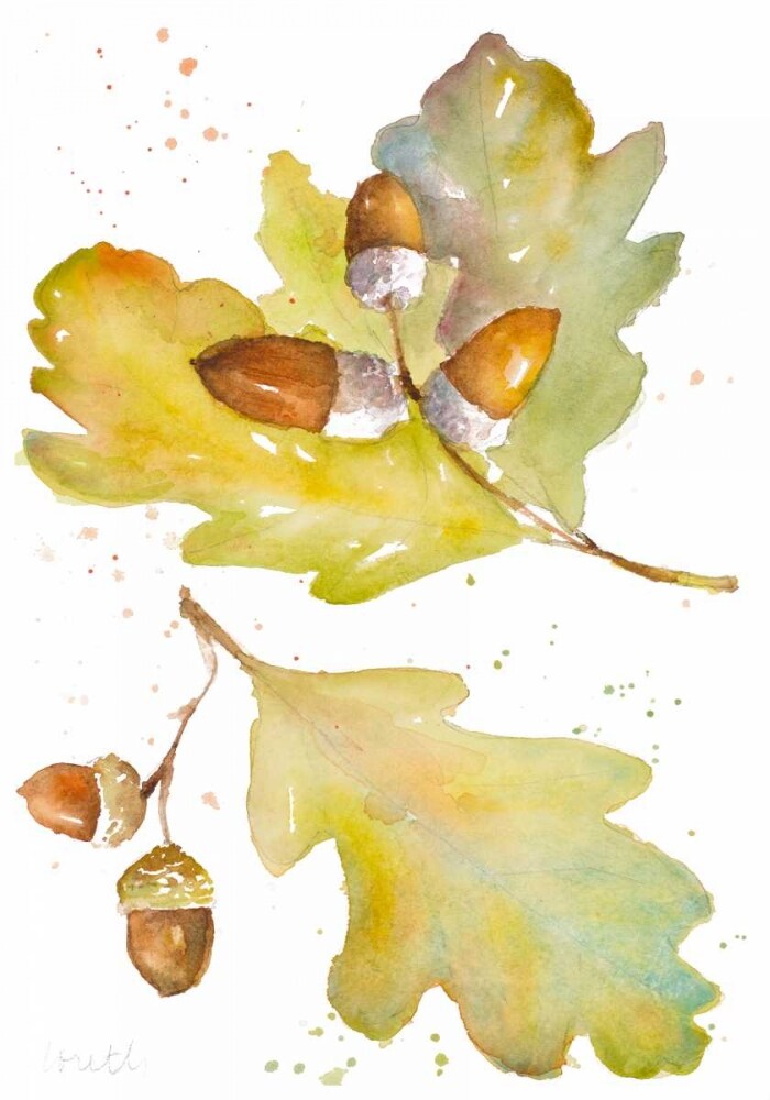 Acorns and Oak Leaves II Poster Print by Lanie Loreth - Item # VARPDX12192