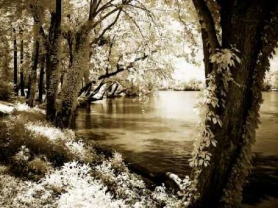 Spring on the River III Poster Print by Alan Hausenflock - Item # VARPDXPSHSF651