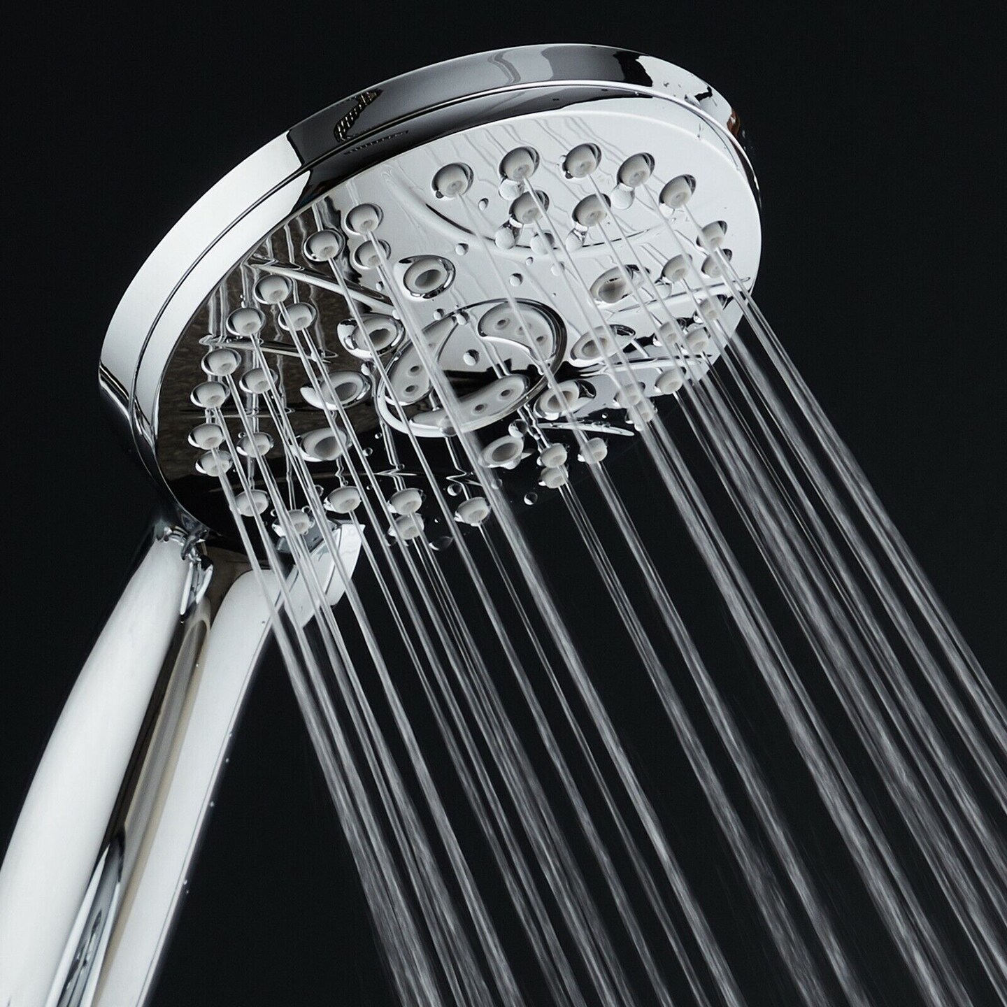 Stainless Steel Shower Head with 6 ft. Hose