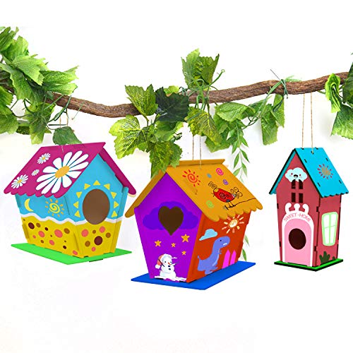 hapray 4 Pack Bird House Crafts for Kids Ages 5-8 8-12, Buildable