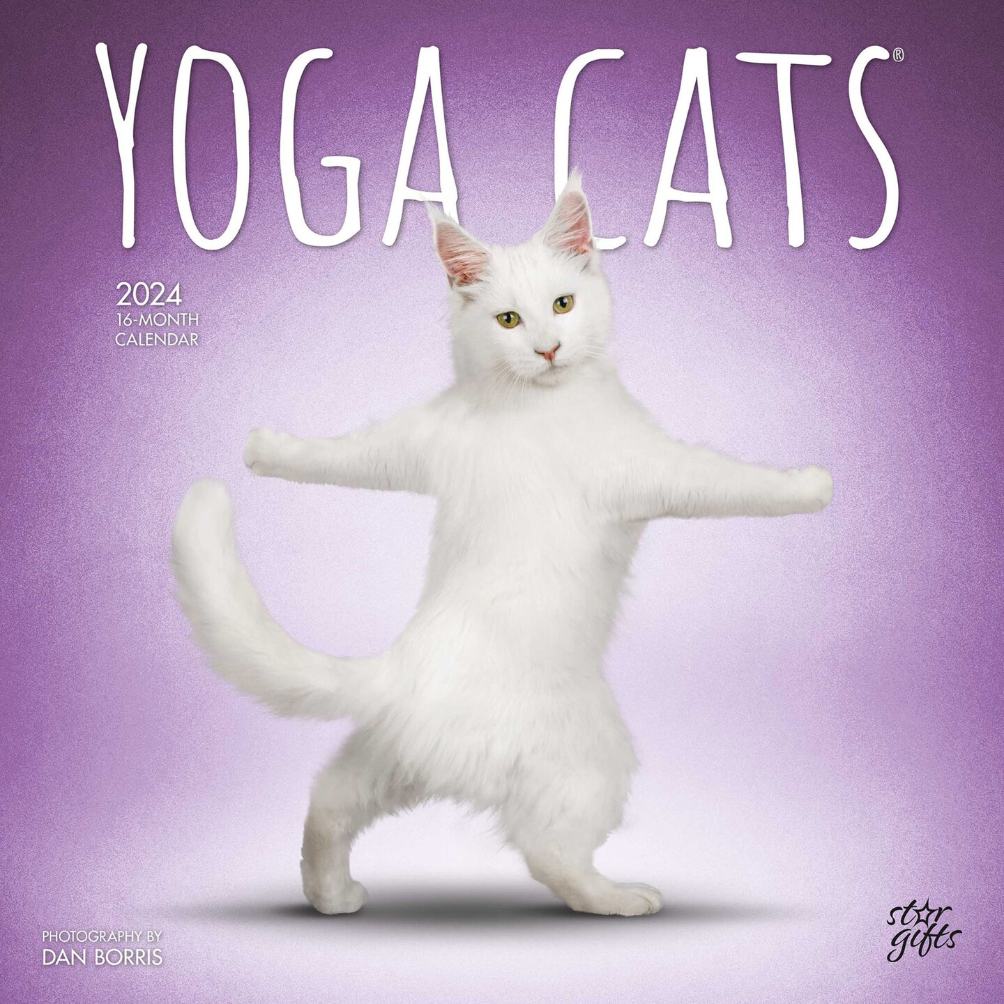 Yoga Cats OFFICIAL | 2024 12 x 24 Inch Monthly Square Wall Calendar | Sticker Sheet | StarGifts | Animals Humor Pets