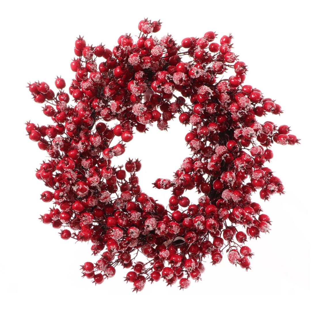 22&#x22; Iced Red Hawthorn Berry Wreath by Floral Home&#xAE;
