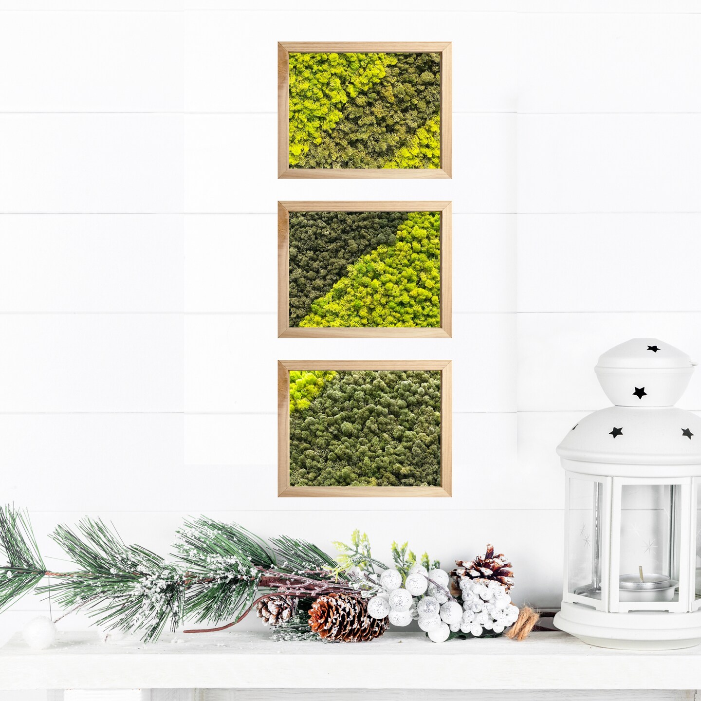 Small moss art gift, Miniature moss decor, Tiny moss wall art, Botanical  gift, frame nature-inspired, idea for nature and plant enthusiasts