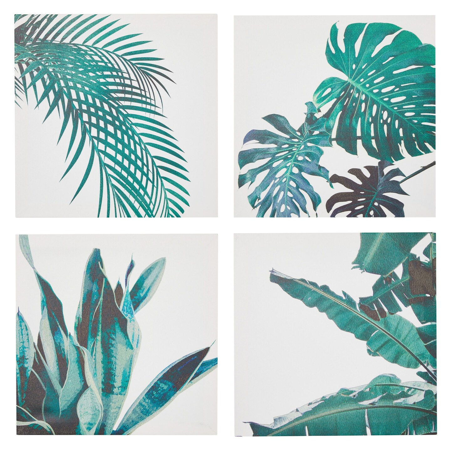 4 Piece Green Modern Canvas Wall Art Set, Botanical Succulent Wall Art ...