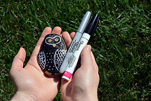 Oil-Based Paint Markers, Medium Point, Assorted Colors, 5 Count (Packaging May Vary) - Great for Rock Painting