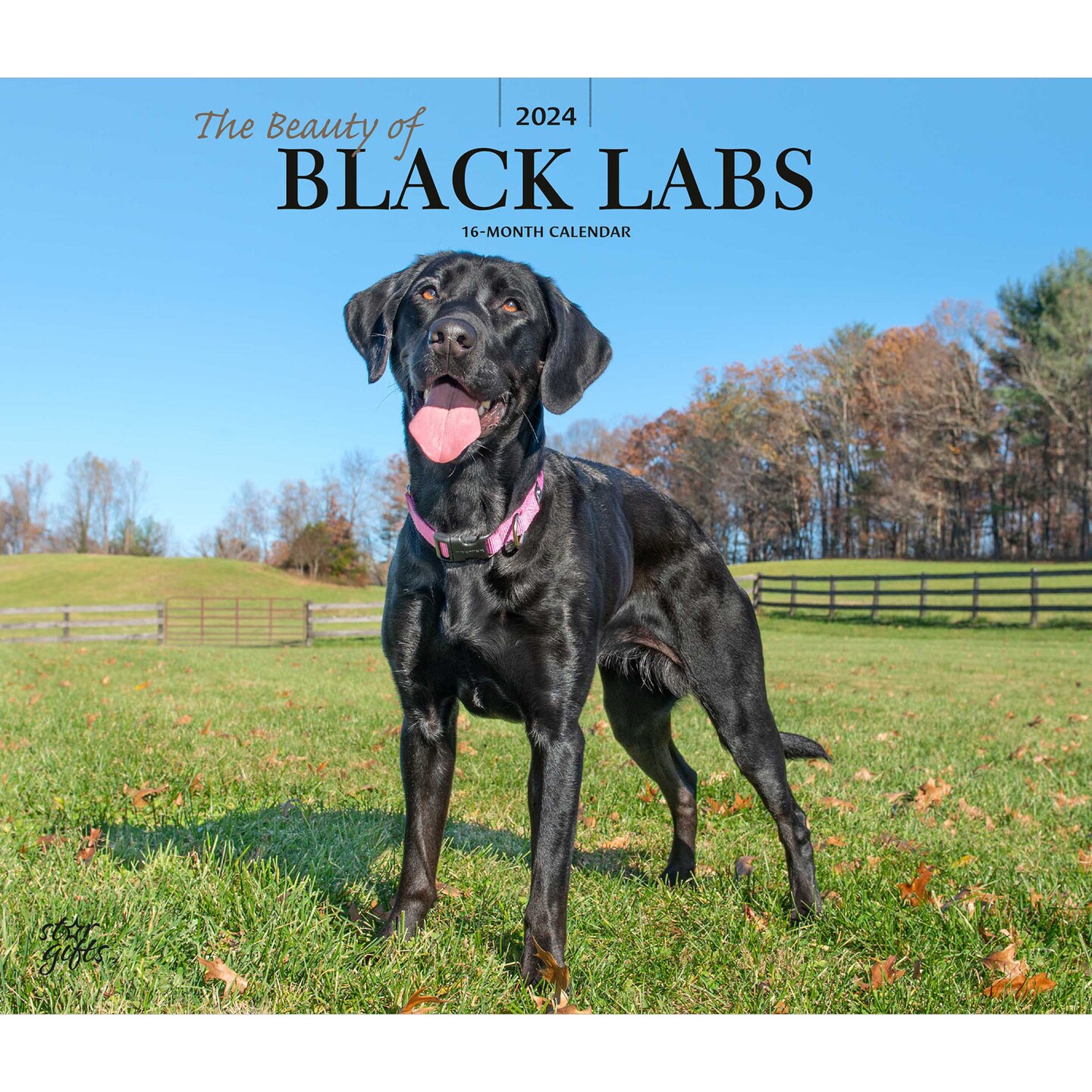 The Beauty of Black Labrador Retrievers 2024 14 x 24 Inch Monthly