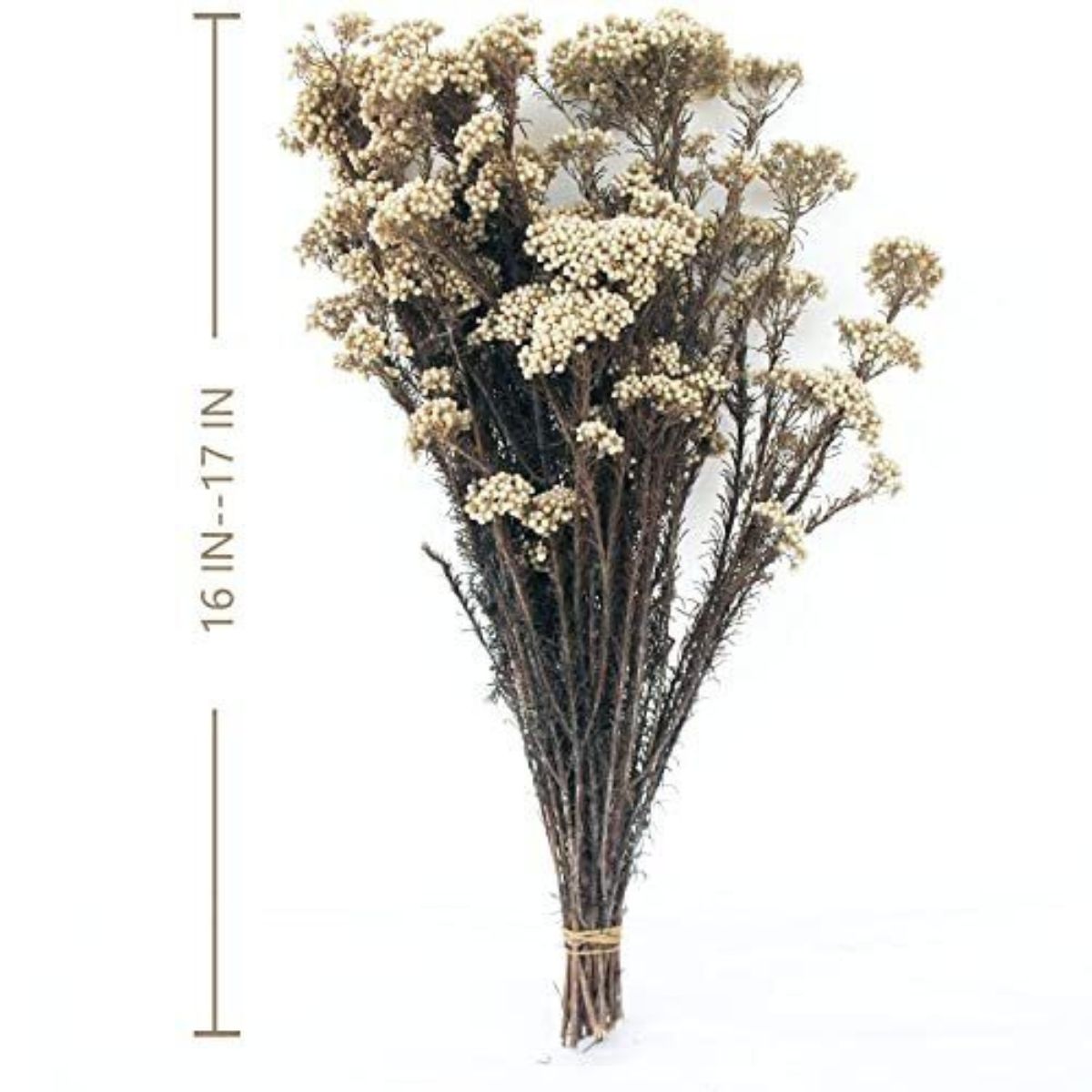 Natural Millet Flowers Dried Bouquet for Home Decor