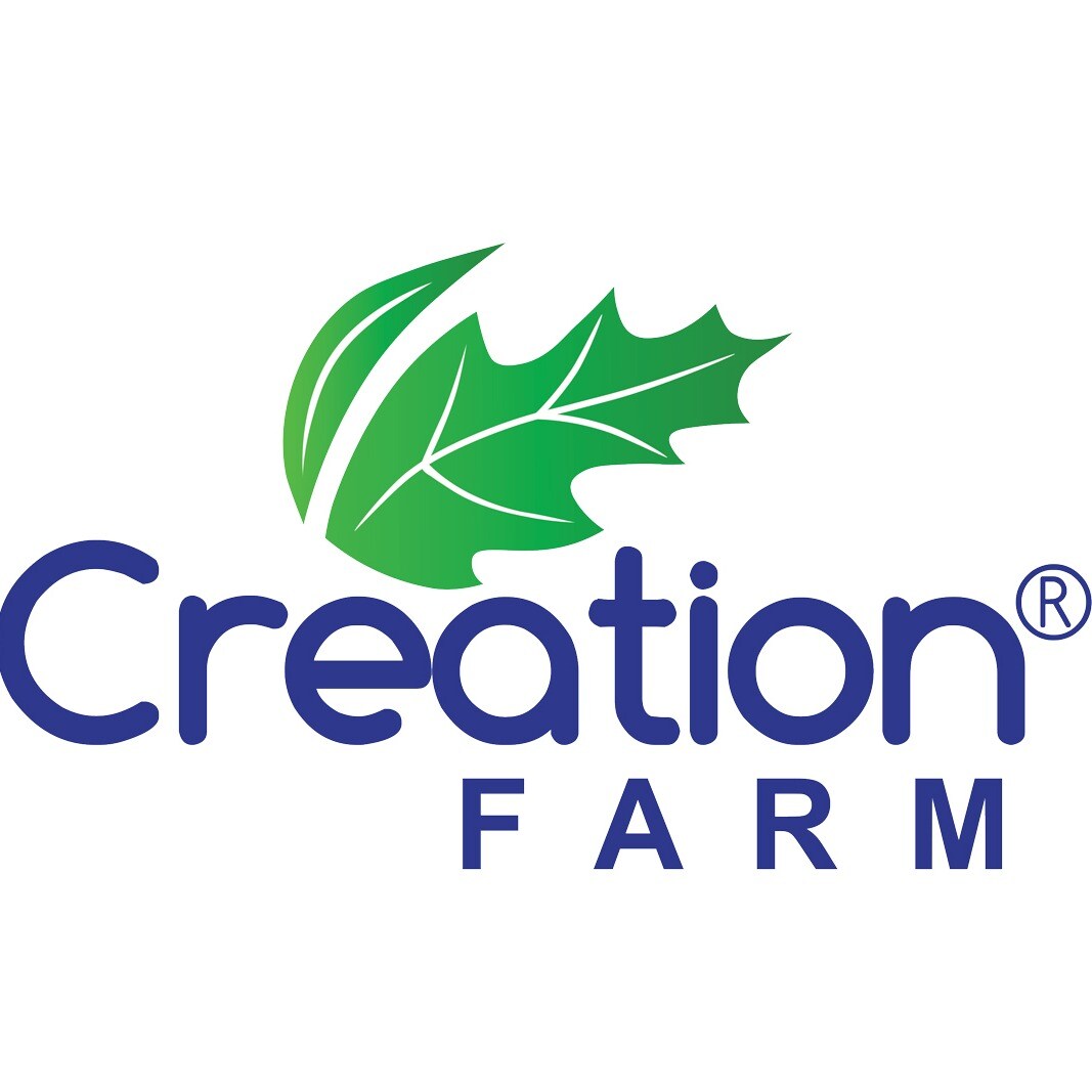 storefront logo