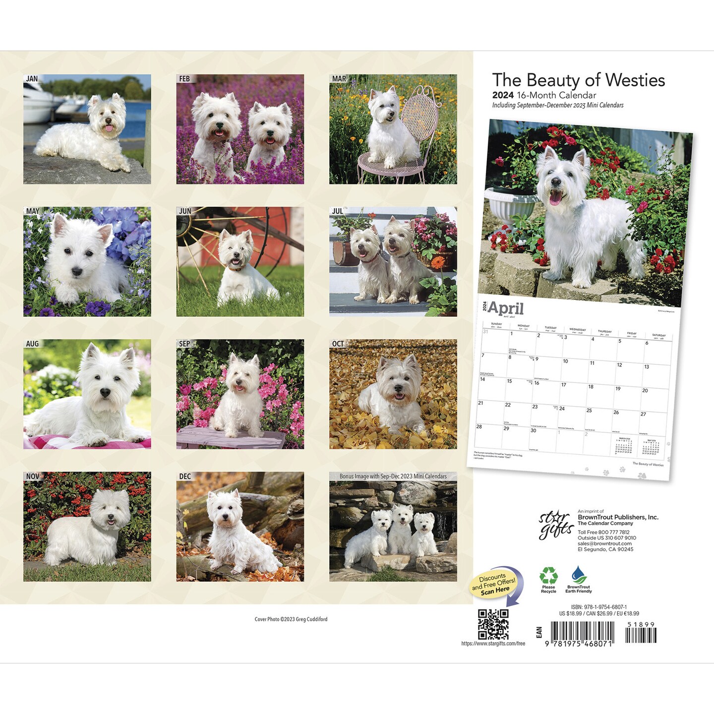 The Beauty of West Highland White Terriers | 2024 14 x 24 Inch Monthly Deluxe Wall Calendar | Sticker Sheet | StarGifts | Animal Dog Breeds