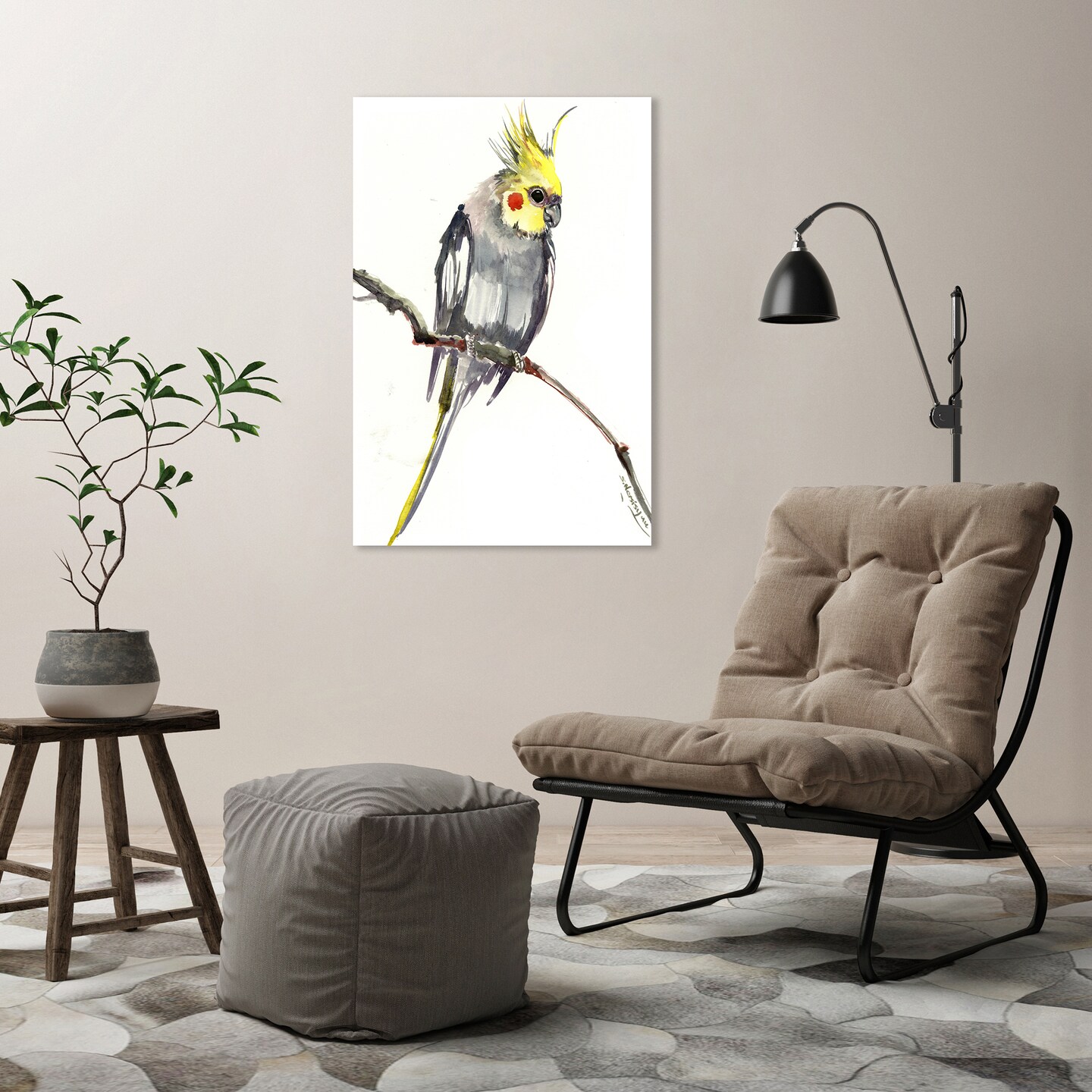 Cockatiel by Suren Nersisyan  Gallery Wrapped Canvas - Americanflat