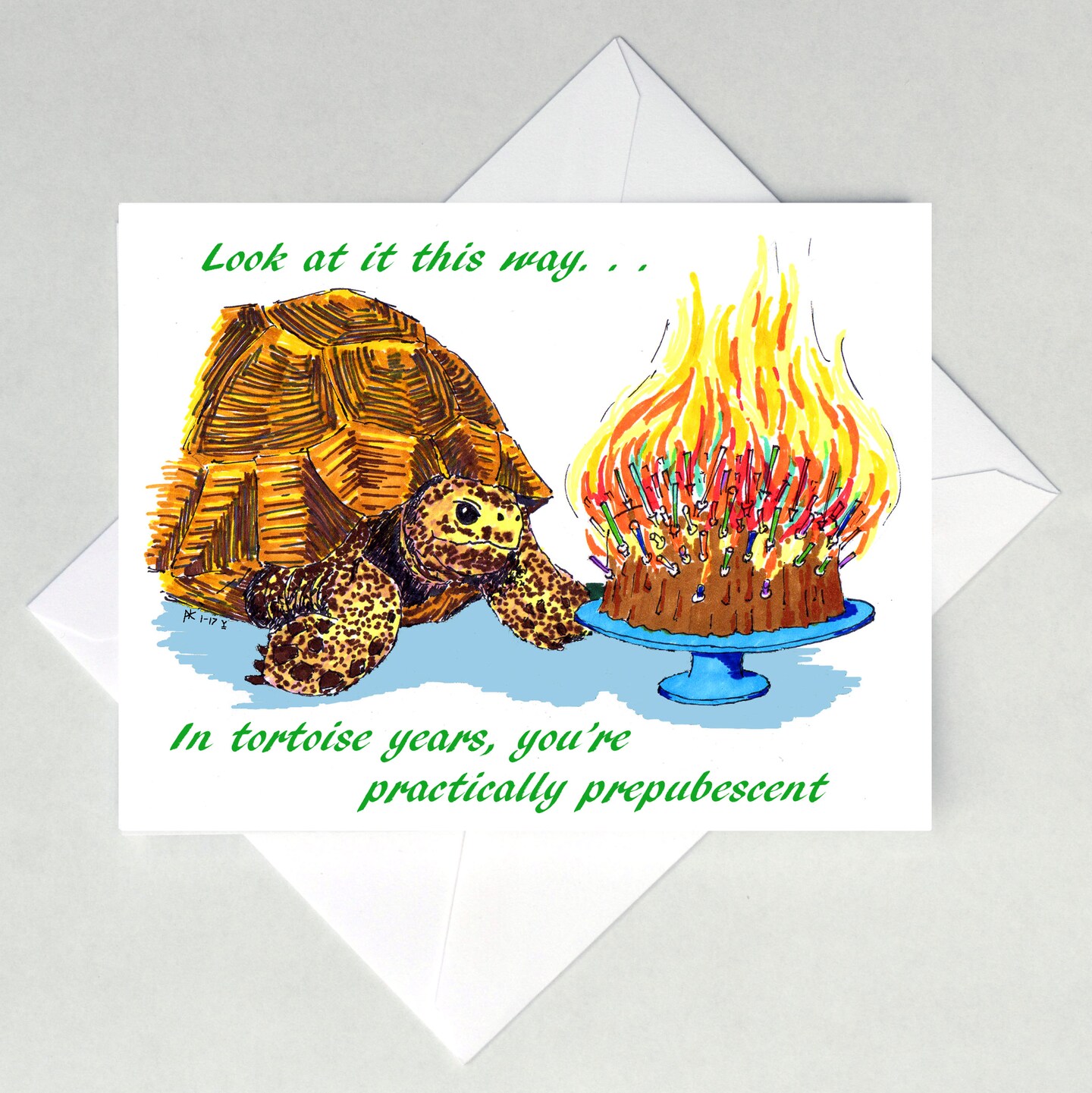 Tortoise Birthday Card | MakerPlace by Michaels