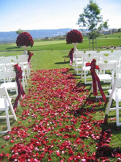 Dried Rose Petals, Confetti Dried Flowers Wedding