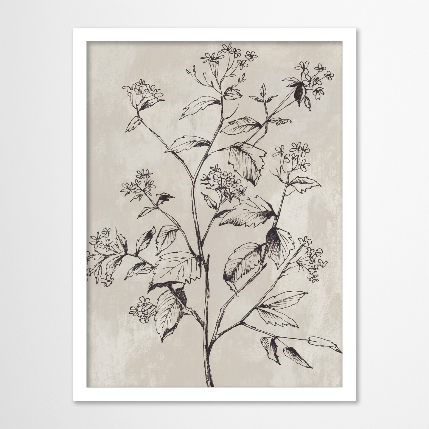 Botanical Delight II by PI Creative Art  Framed Print - Americanflat