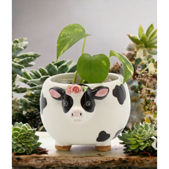 kevinsgiftshoppe Ceramic Cow with Rose Flower Candy Bowl or Indoor Planter Home Decor   Kitchen Decor