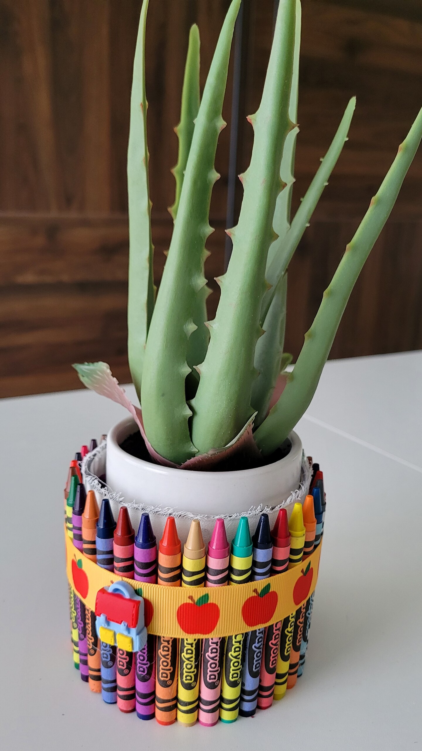 Crayon Pencil Caddy Teacher Gift