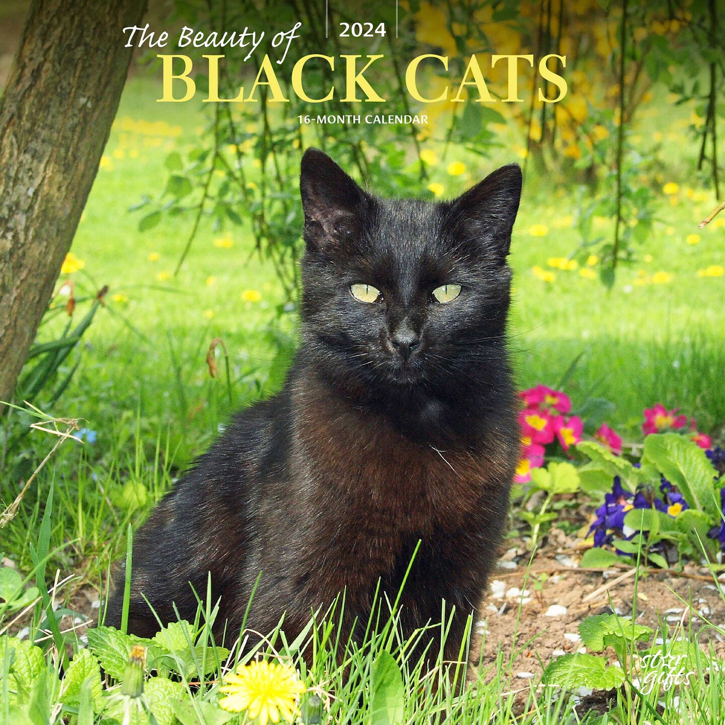 The Beauty of Black Cats | 2024 12 x 24 Inch Monthly Square Wall Calendar | Sticker Sheet | StarGifts | Animals Kittens Feline