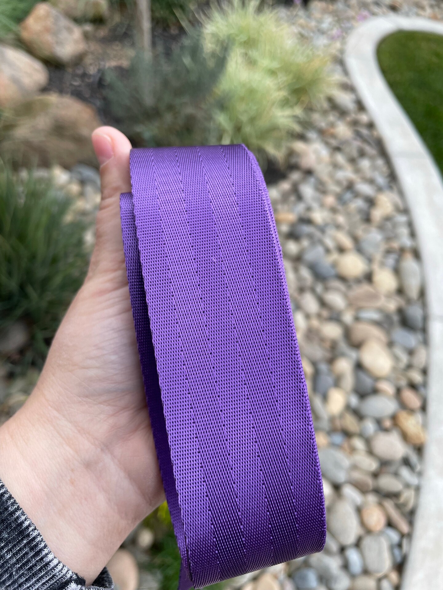 Purple 1.5&#x201D; Seatbelt Webbing