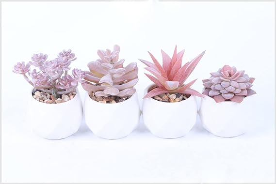 Succulent Artificial Plants Fake Succulents in White Ceramic Pots Small Fake Plants for Office Desk Home Decor