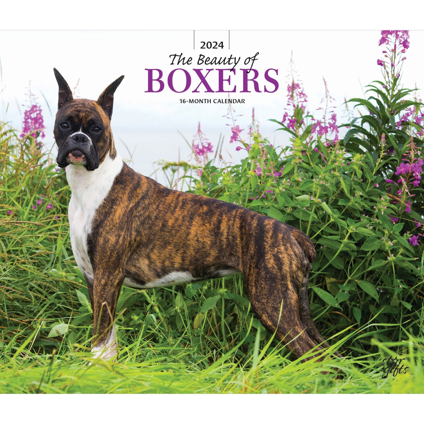 The Beauty of Boxers 2024 14 x 24 Inch Monthly Deluxe Wall Calendar