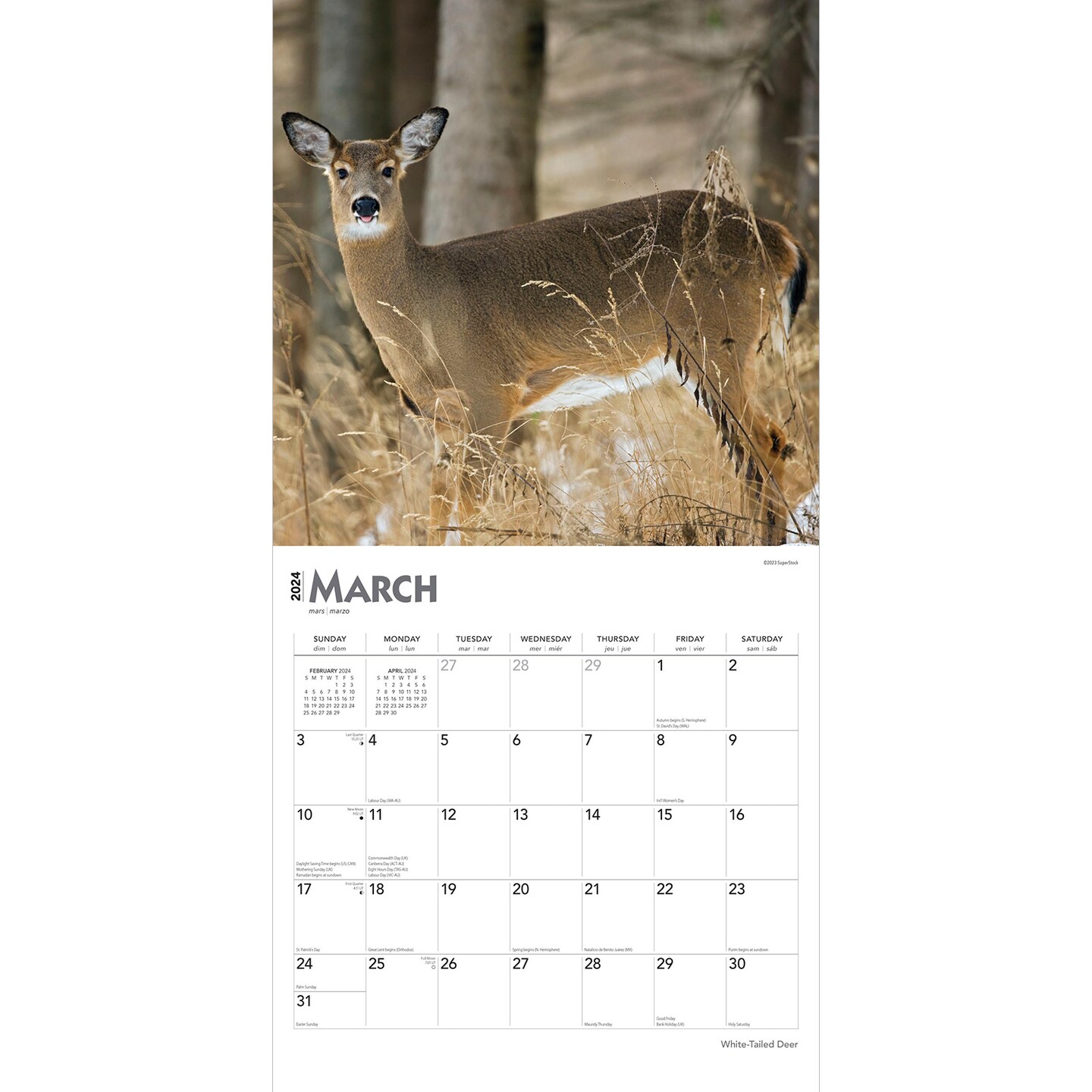 Whitetail Deer Calendar 2024 Wall Calander Monthly 12 Month