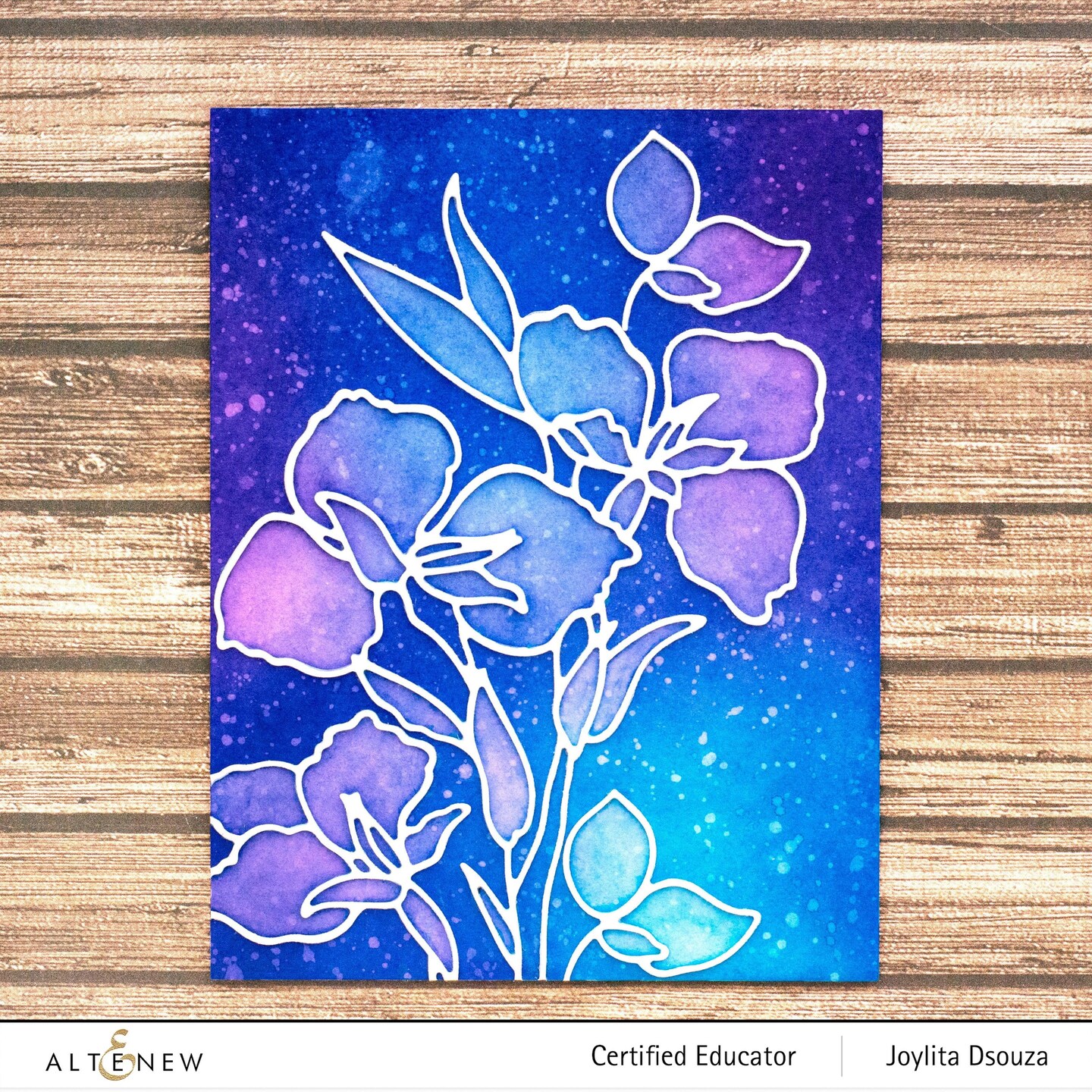 Blossom Branch 6 Crisp Dye Ink Mini Cube Set