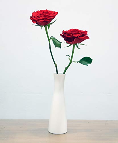 2 Pieces Tall Conic Composite Plastics Flower Vase, Small Bud Decorative Floral Vase Home Decor Centerpieces, Arranging Bouquets, Connected Tubes (Wide Caliber)
