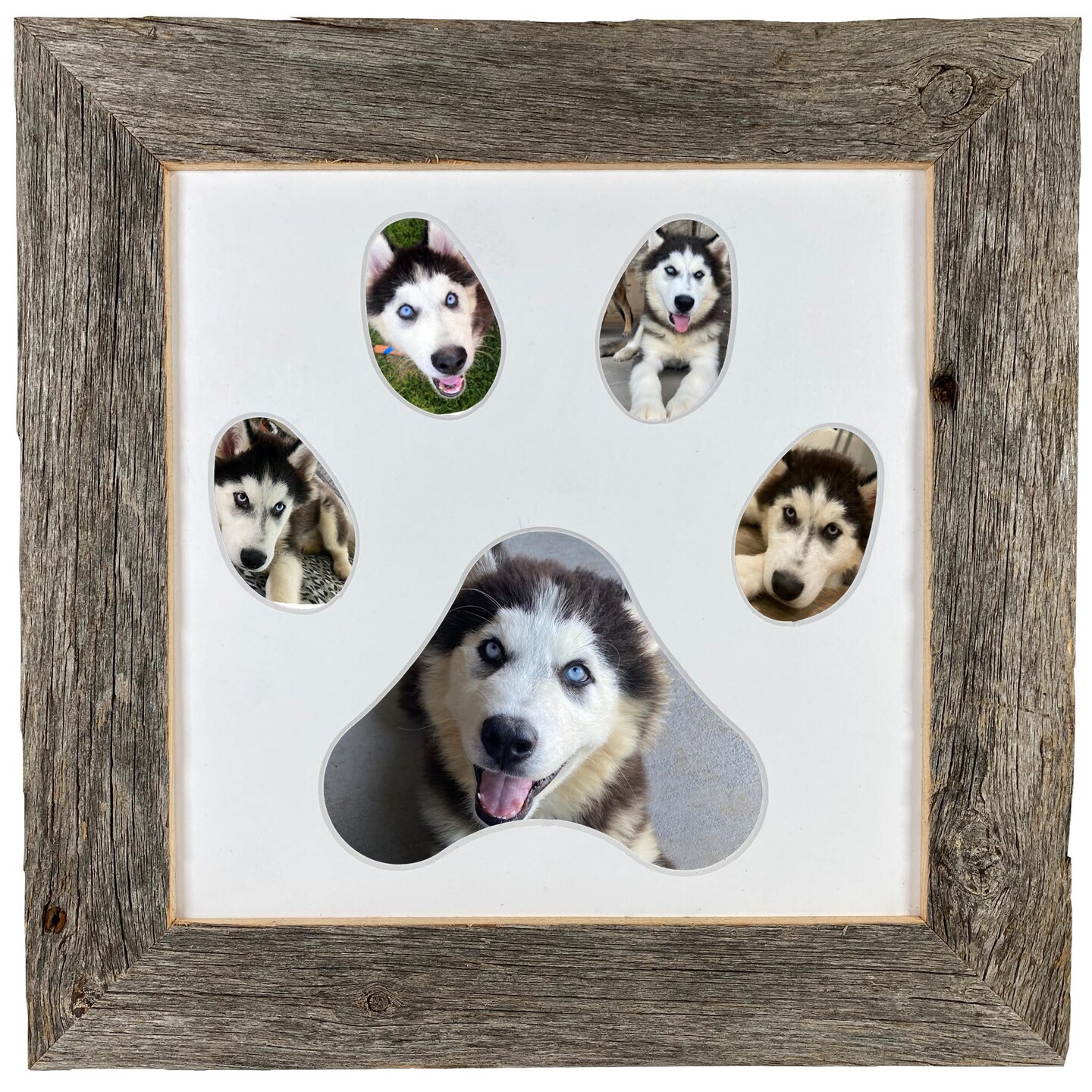 Rustic Farmhouse Paw Collage Series Reclaimed Wood Picture Frame with 5 Openings Michaels