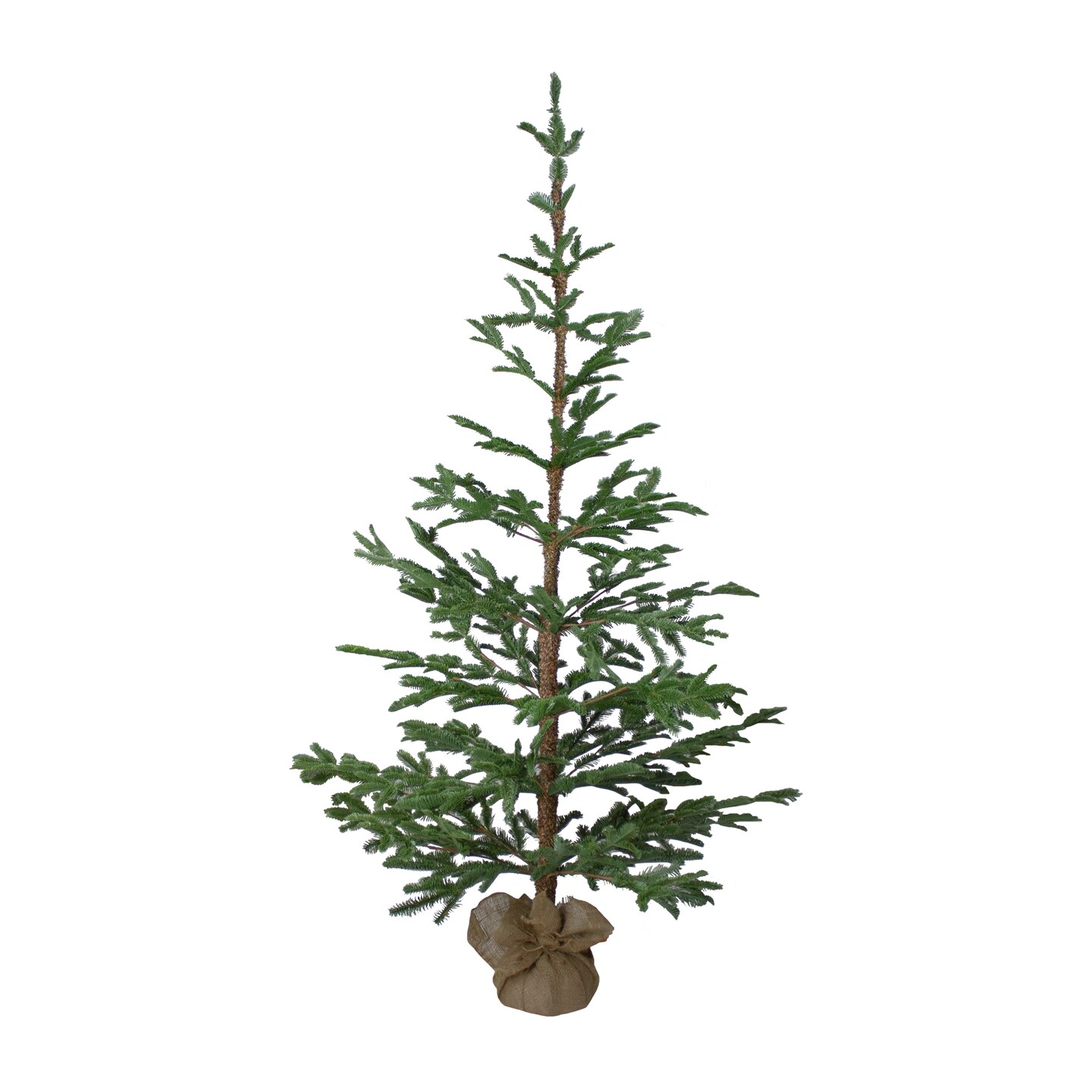 Northlight Real Touch&#x2122; Ponderosa Pine Artificial Christmas Tree with Jute Base- Unlit - 5.25&#x27;