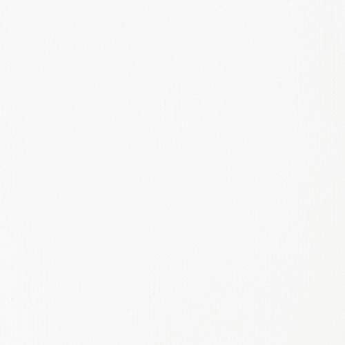 Acrylic Paint, 250ml Tube, Titanium White, 8.45 Fl Oz (Pack of 1)